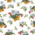 Vector garden raspberry berries seamless pattern. Background design for tea, ice cream, natural cosmetics.